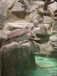 -Zoolung Zoolung动物主题公园(海信广场店)