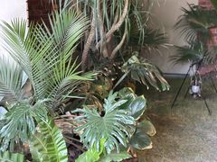 -J Create城市露营咖啡·简餐·宠物(上海动物园店)