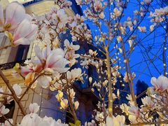 -南山鲜虾面·活鲜小馆·海味大连菜(南山总店)