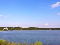 -柳湖沙月沙滩公园