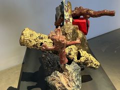 -金泽21世纪美术馆