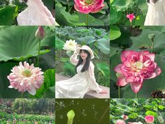 -广州莲花山旅游区