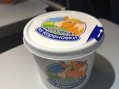 -谢列梅捷沃国际机场