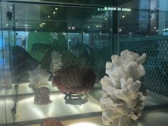 -春润大地海南椰子鸡(沙井京基百纳广场店)