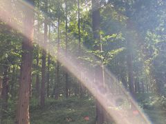 -黄海国家森林公园