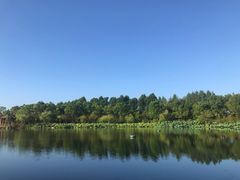 -上海怡沁园度假酒店