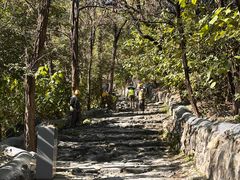 -阳台山自然风景区