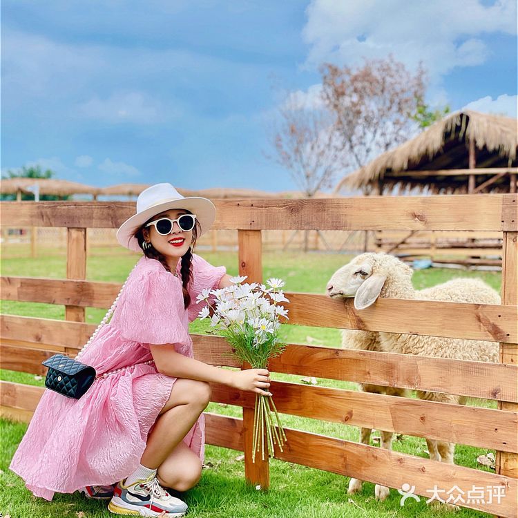 广州也有🌈霍比特小屋🧚‍♀️童话般的世界