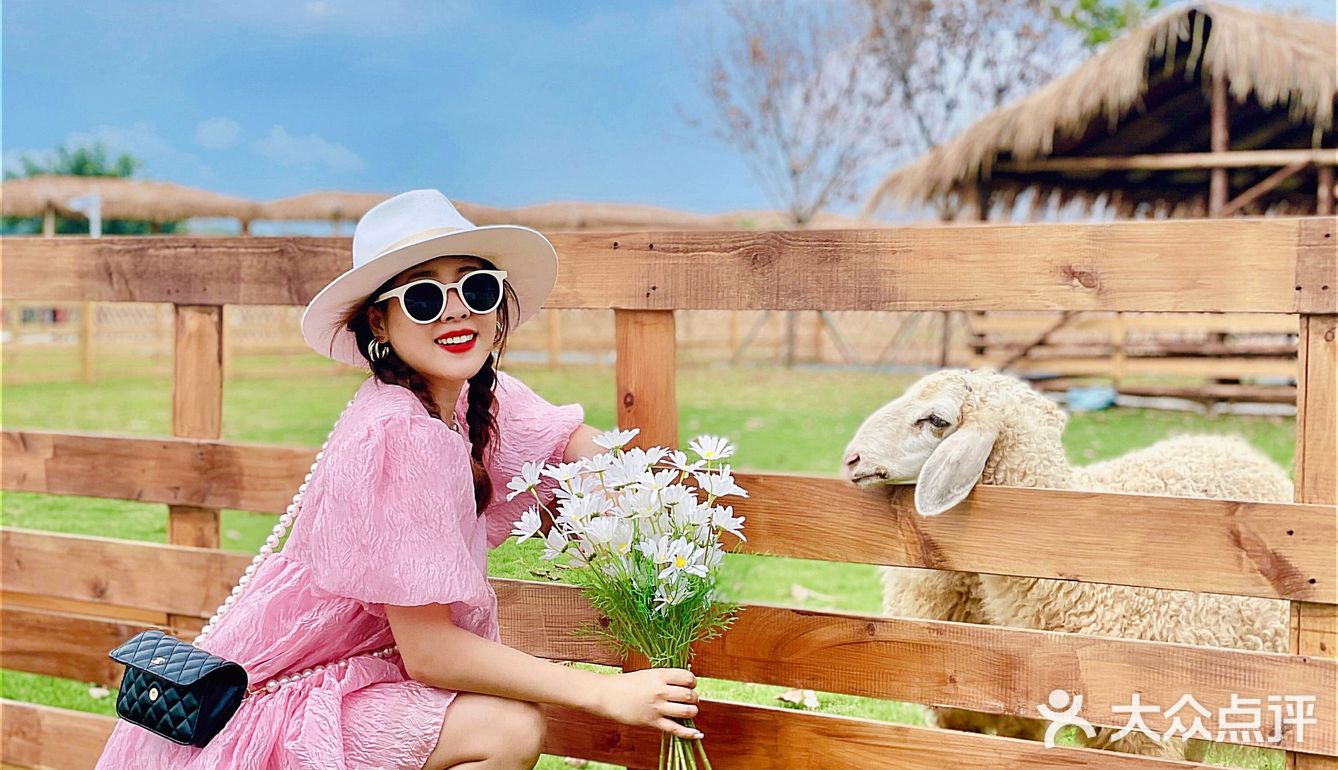 广州也有🌈霍比特小屋🧚‍♀️童话般的世界