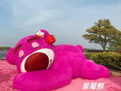-上海都市菜园