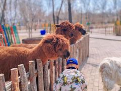 -水上乐园·欢乐世界