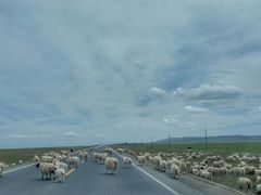 -青海湖国家重点风景名胜区