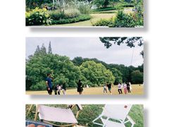 -上海共青森林公园