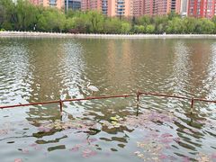 -迎泽公园