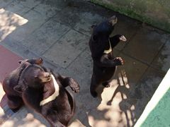 -西霞口神雕山野生动物世界