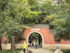 -灵谷景区