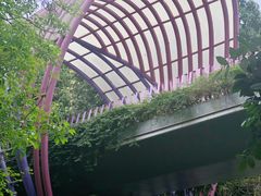 -玉树公园