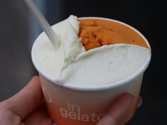 -Dip in Gelato(富民路店)
