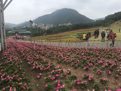 -东部华侨城
