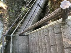 -茅兰沟国家森林公园
