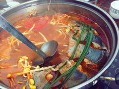 -弘烨 贵州酸汤 鱼火锅(东财店)