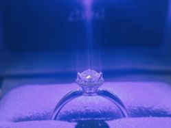 -钻石小鸟钻戒婚戒定制(石路店)