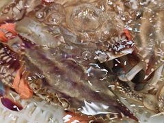 -老虎滩船说·海胆水饺·大连海鲜(老虎滩店)