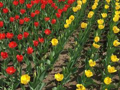 -长春公园(普阳街道)