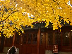 -承恩寺