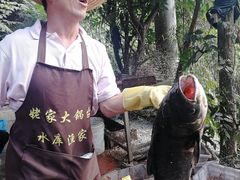 -姥家大锅台水库渔家
