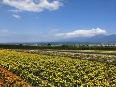 -富田农场