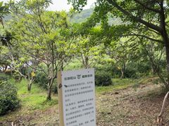 -九龙潭景区