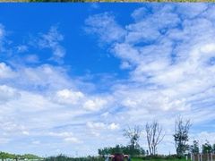 -春花秋色城市公园