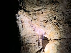 -怀托摩萤火虫洞