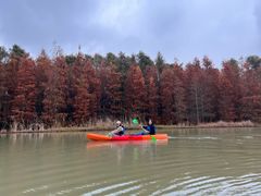 -上海海湾国家森林公园
