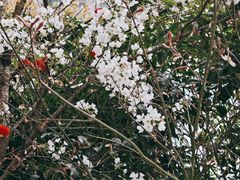 -江宁路街道社区文化活动中心