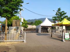 -北京西山国家森林公园