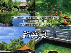 -清真·双公羊·馕坑烤全羊(奥体店)