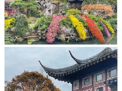 -留园