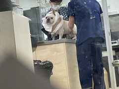 -爱侣宠医·鹦鹉专科·小型哺乳类·异宠专科(灵石路店)