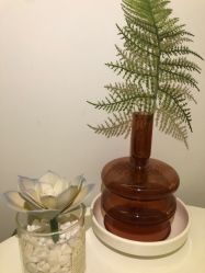 -VE专注问题肌·赛诺龙&科学美肤中心