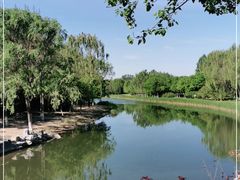 -大兴滨河森林公园