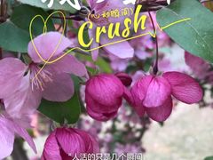 -海棠花溪(元大都城垣遗址公园)