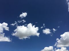 -乌兰布统草原