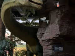 -浙江自然博物院(杭州馆)