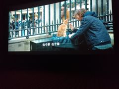 -SFC上影影城(新世界店)