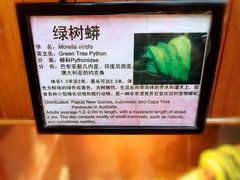 -上海大自然野生昆虫馆(东方明珠·爬宠昆虫探索中心)