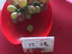 -马陆小张葡萄园农家乐