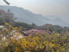 -广州市石门国家森林公园