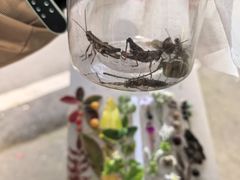 -金堂县云顶石城风景区